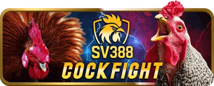 Ưu đãi VIP Dwin